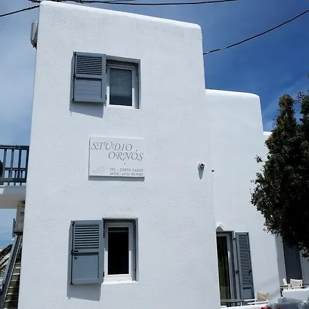 Διαμέρισμα Studio Ornos *